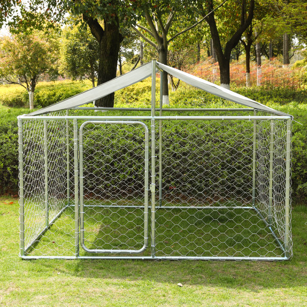 10x10 dog outlet kennel for sale